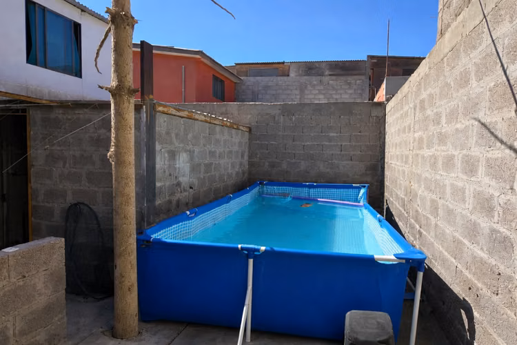 Calle Uno