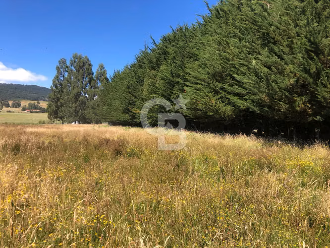 Linda parcela comercial camino a Ensenada (no condominio) - Imagen 3