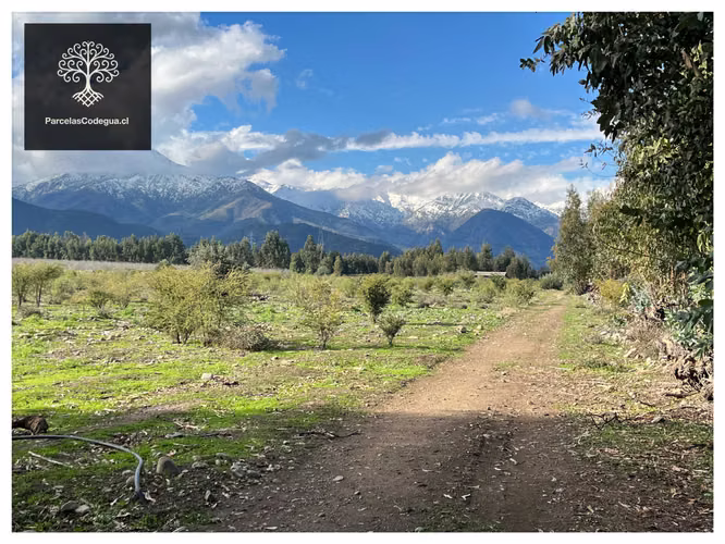 Vendo Terreno en Codegua 55 min de Santiago (144721)