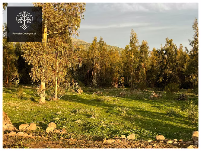 Vendo Terreno en Codegua 10 min Ruta 5 Sur (144737)