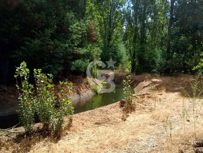 Parcela en Venta – Quillón, Sector Manque Sur