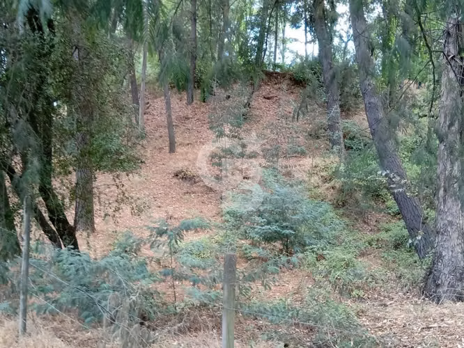Parcela en Venta – Quillón, Sector Manque Sur