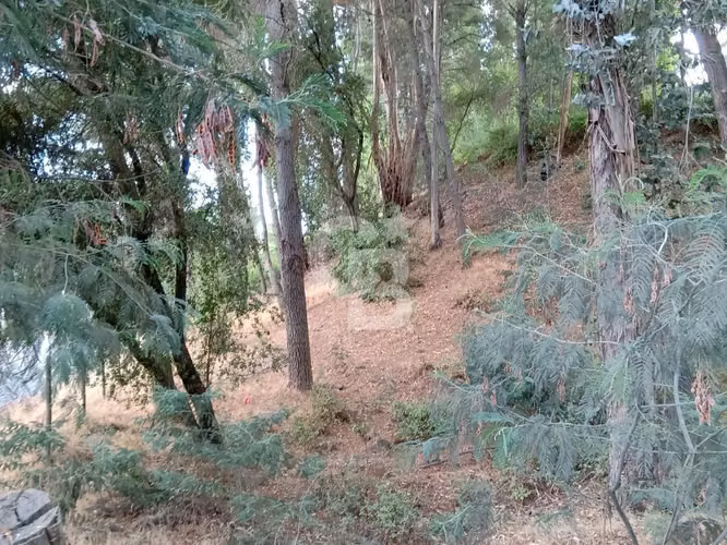 Parcela en Venta – Quillón, Sector Manque Sur
