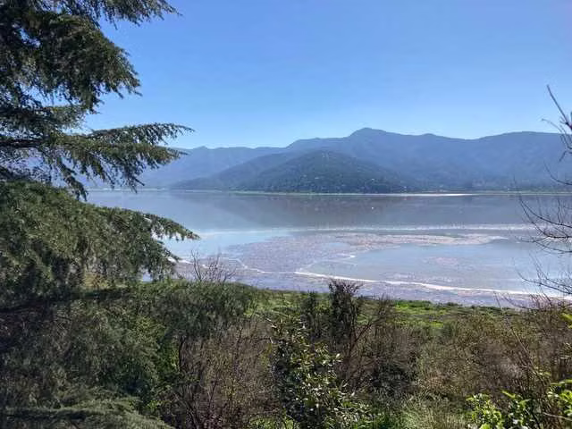 Parcela con Vistas Panorámicas en Aculeo (144794) - Imagen 11