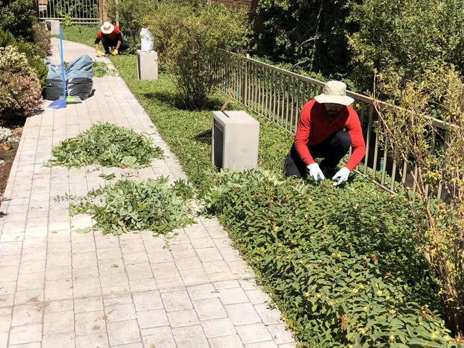 Jardinero hombre