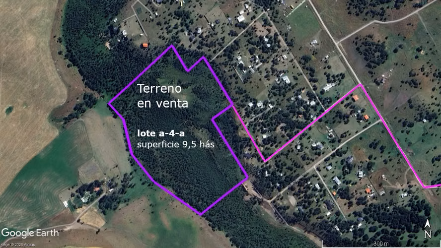 CAMPO VILLA  MEDINA  9,5 HECTAREAS