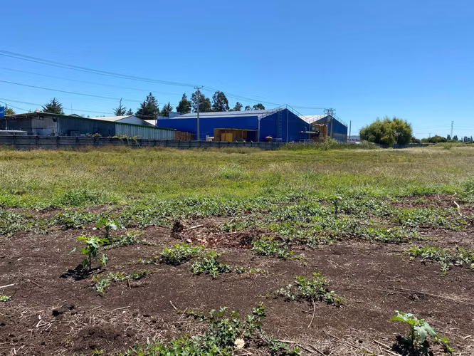 Terreno Ideal para Proyecto Inmobiliario (145217)