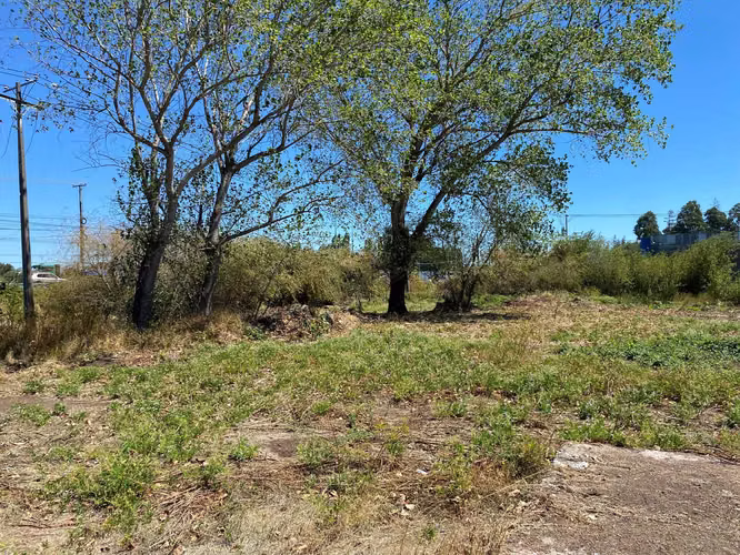 Terreno Ideal para Proyecto Inmobiliario (145217)