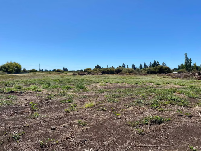 Terreno Ideal para Proyecto Inmobiliario (145217)