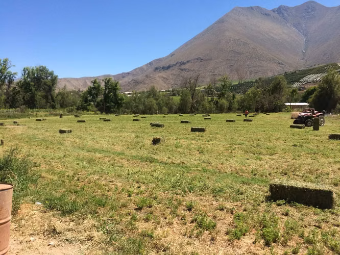 Precio rebajado, Hermosa parcela Peralillo, Vicuña - Imagen 8