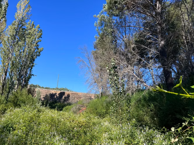 SE VENDE PARCELA CON CASA – SANTA JUANA, SECTOR CHACAYAL KM 67