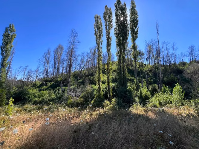 SE VENDE PARCELA CON CASA – SANTA JUANA, SECTOR CHACAYAL KM 67