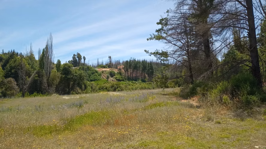 SE VENDE PARCELA CON CASA – SANTA JUANA, SECTOR CHACAYAL KM 67