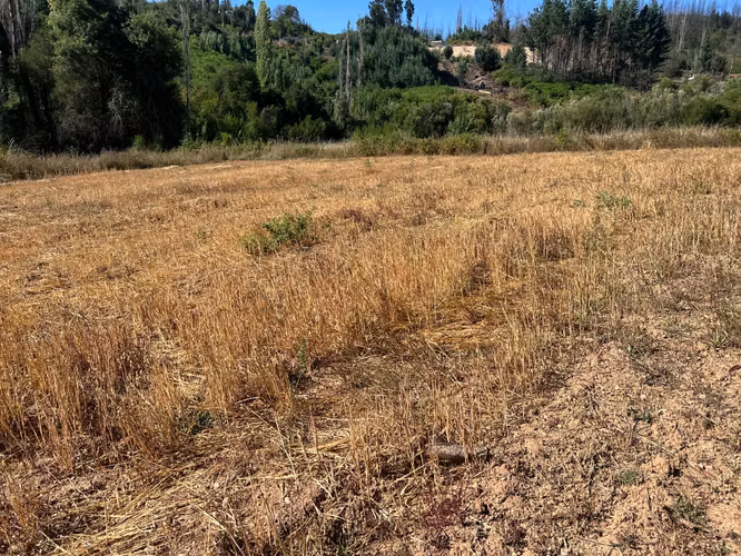 SE VENDE PARCELA CON CASA – SANTA JUANA, SECTOR CHACAYAL KM 67