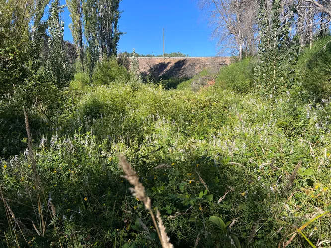 SE VENDE PARCELA CON CASA – SANTA JUANA, SECTOR CHACAYAL KM 67
