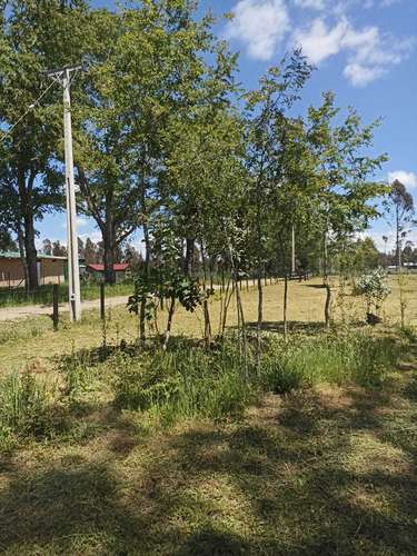 VENDO PARCELA EN HACIENDA TOLTÉN DE 5000 M2 (119954)