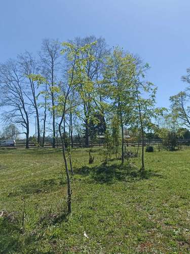VENDO PARCELA EN HACIENDA TOLTÉN DE 5000 M2 (119954)