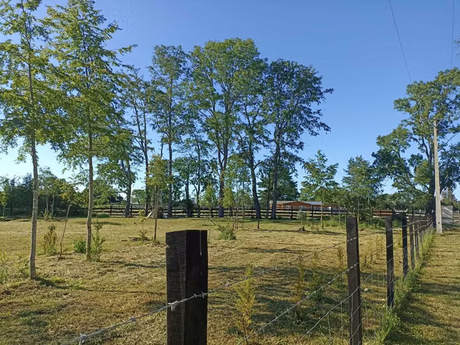 VENDO PARCELA EN HACIENDA TOLTÉN DE 5000 M2 (119954)