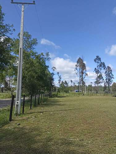 VENDO PARCELA EN HACIENDA TOLTÉN DE 5000 M2 (119954)