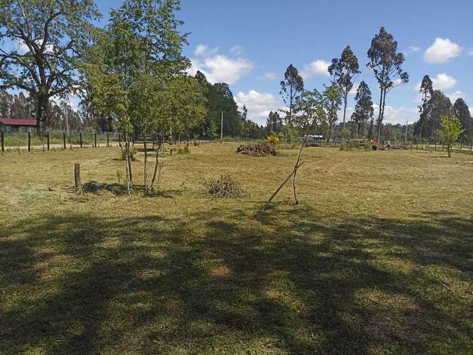 VENDO PARCELA EN HACIENDA TOLTÉN DE 5000 M2 (119954)