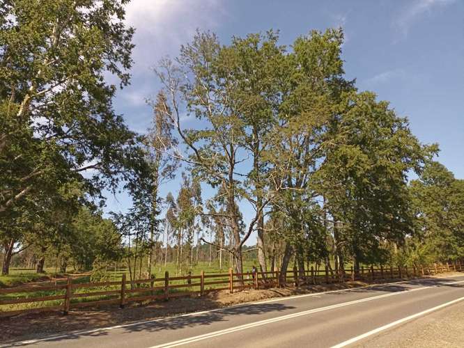 VENDO PARCELA EN HACIENDA TOLTÉN DE 5000 M2 (119954)