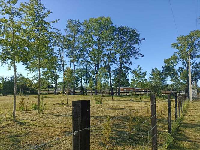 VENDO PARCELA EN HACIENDA TOLTÉN DE 5000 M2 (119954)