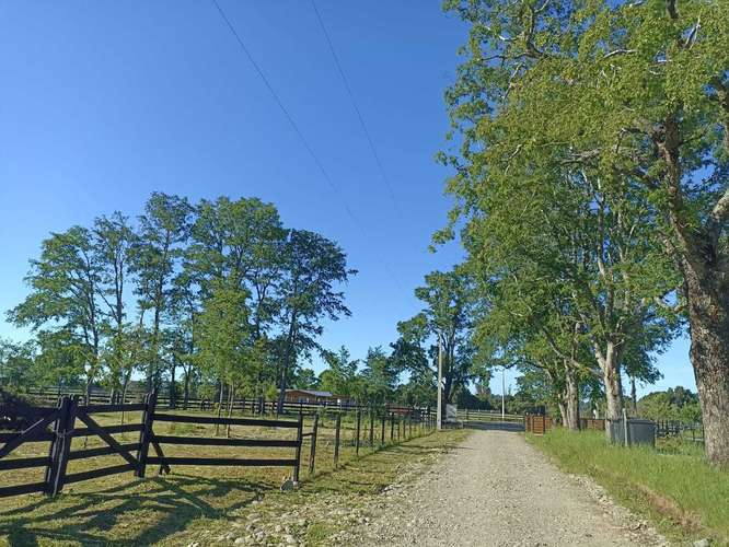 VENDO PARCELA EN HACIENDA TOLTÉN DE 5000 M2 (119954)