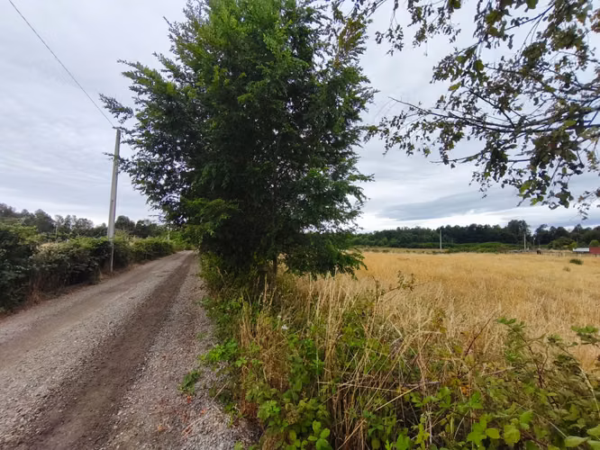 Se vende parcela en sector Pitraco, Valdivia