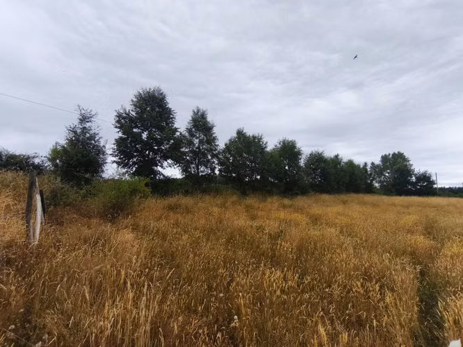 Se vende parcela en sector Pitraco, Valdivia