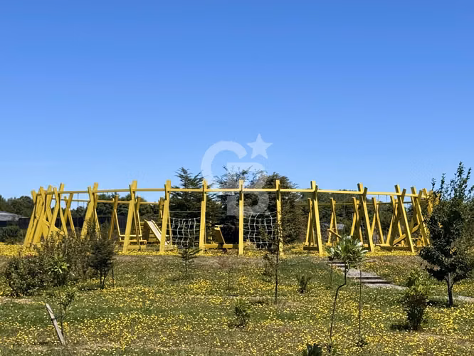 Parcela conectada a Parque Natural en Reserva de Frutillar - Imagen 9