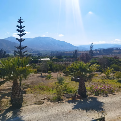 Parcela con casa, a 15 Km de La Serena