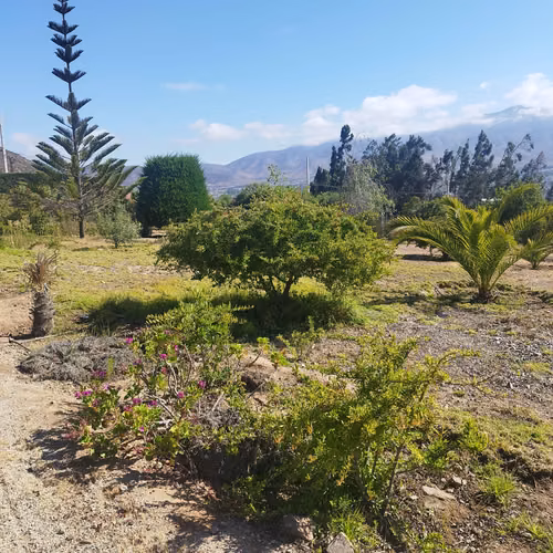 Parcela con casa, a 15 Km de La Serena