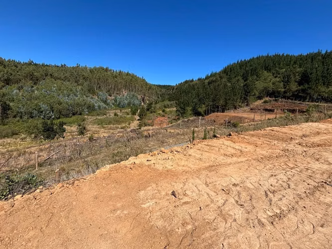 Venta de Parcelas en Copiulemu