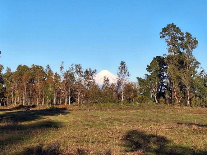 Parcelas Villarrica - Refugio Las Loicas  (145776)