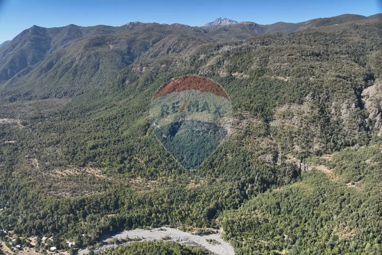 Campo pre-cordillera-oportunidad única longaví