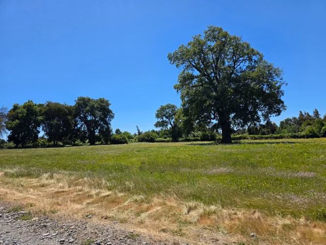 Venta sitios 5.000. km. 1,6 Cerro Colorado Los Ángeles.