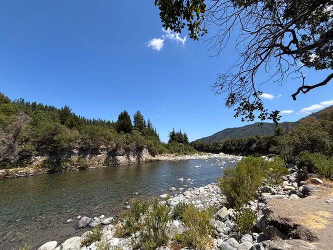 Parcela con bosque y acceso a Río Achibueno (146042) - Imagen 2
