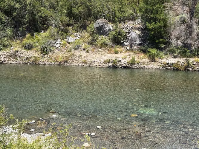 Parcela con bosque y acceso a Río Achibueno (146042) - Imagen 1