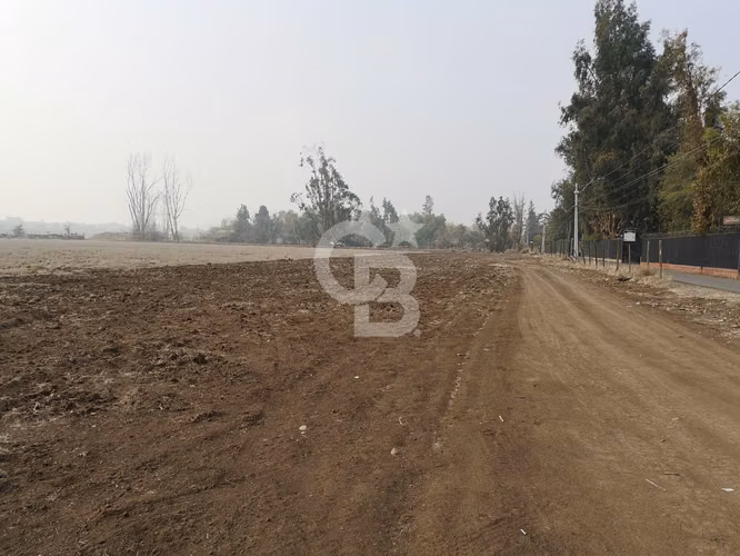 Sitio Exclusivo: Ubicación Inmejorable y Potencial Único