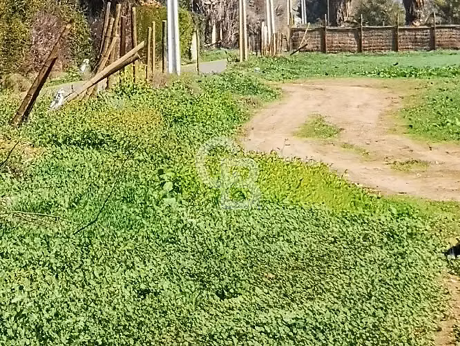 Sitio Exclusivo: Ubicación Inmejorable y Potencial Único