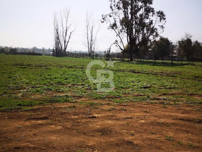 Sitio Exclusivo: Ubicación Inmejorable y Potencial Único
