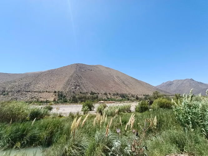 Oportunidad de Inversión punto estratégico a orilla de carretera, Peralillo