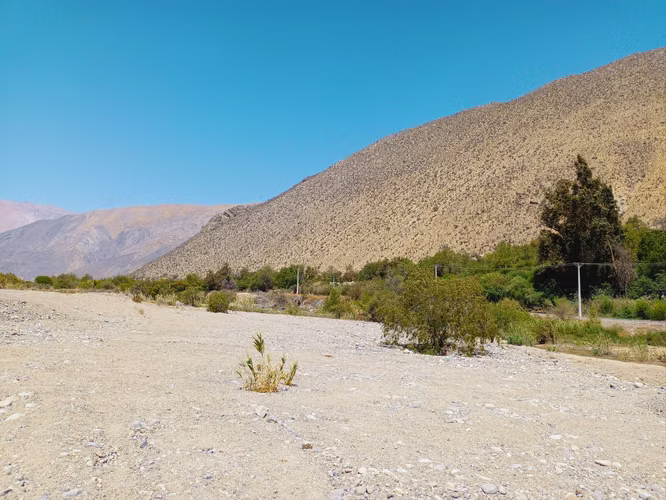 Oportunidad de Inversión punto estratégico a orilla de carretera, Peralillo