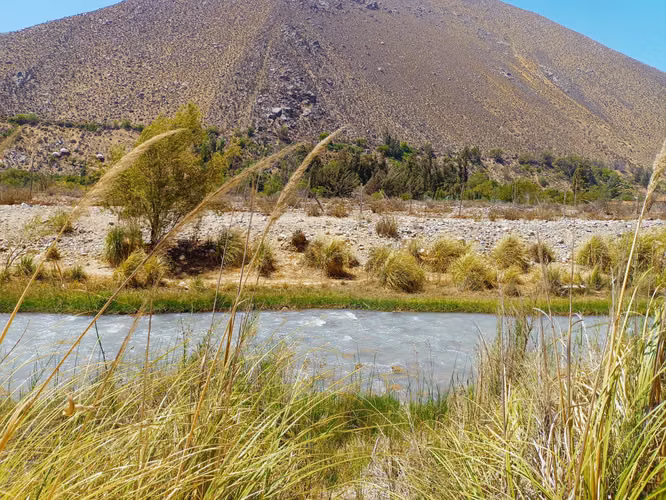 Oportunidad de Inversión en el Valle de Elqui, Peralillo.