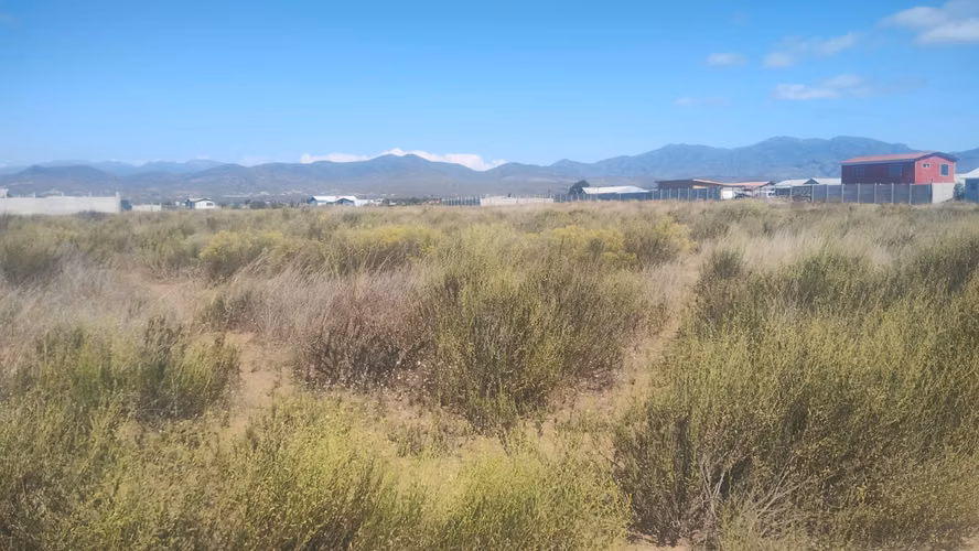 Oportunidad Desarrollo Inmobiliario | Terreno 5.000 m² Guanaqueros