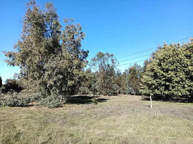 INVERSIÓN // CENTRO RECREATIVO (146285)