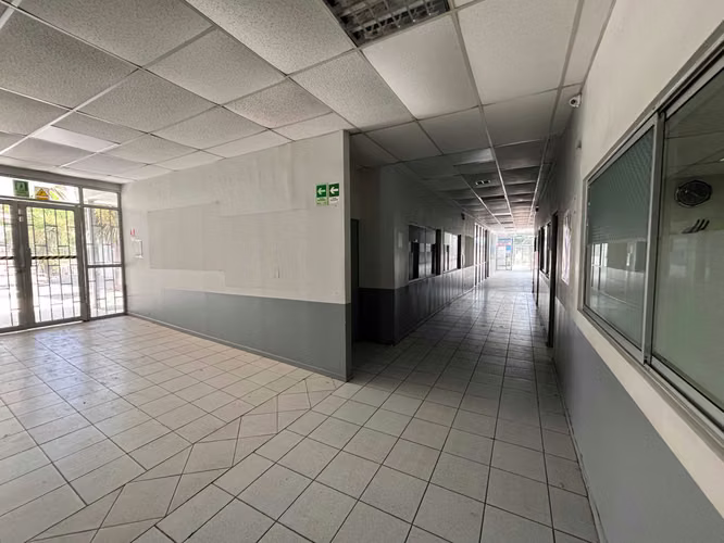 Gran Propiedad Comercial en Linares (146461) - Imagen 8