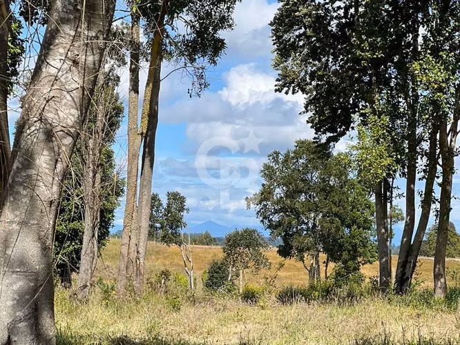 Parcela cerca de Llanquihue con vista volcanes