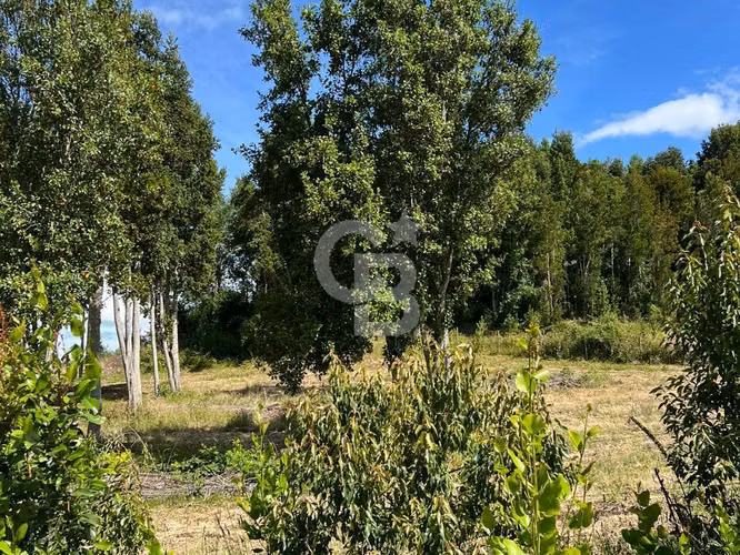 Parcela cerca de Llanquihue con vista volcanes