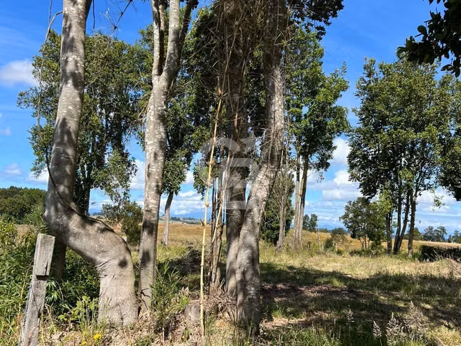 Parcela cerca de Llanquihue con vista volcanes